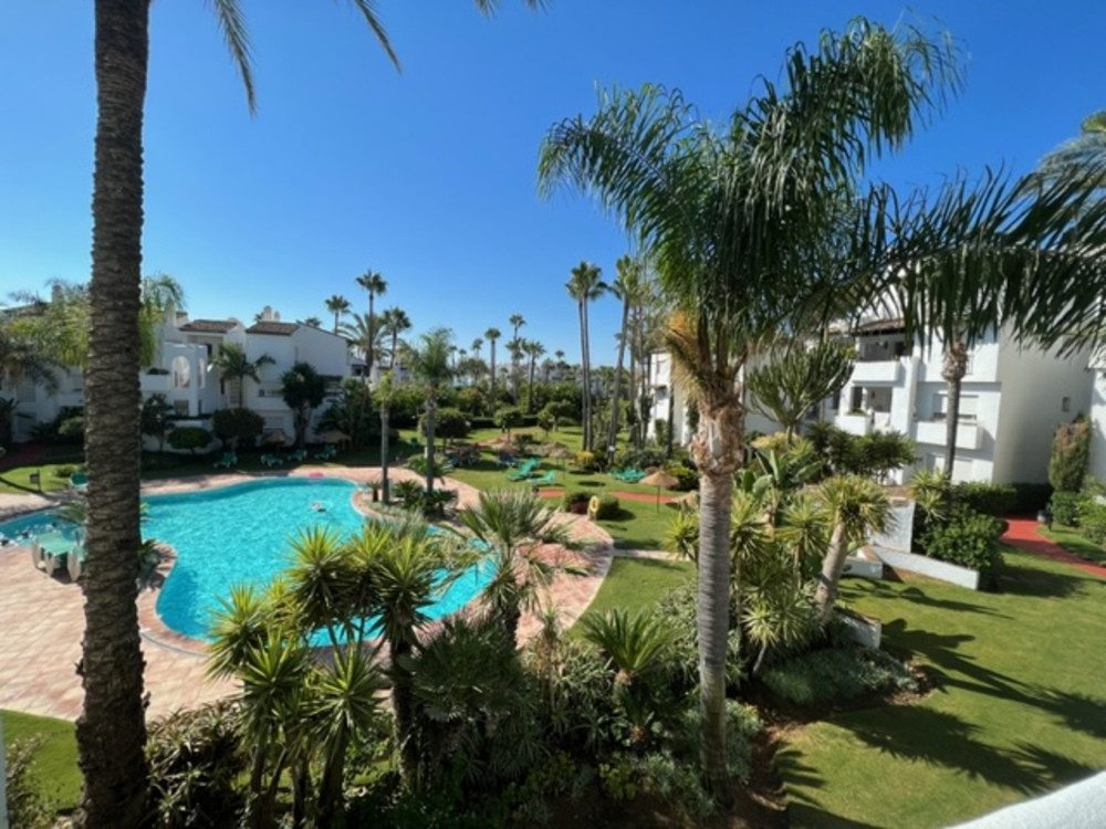 flat to rent estepona