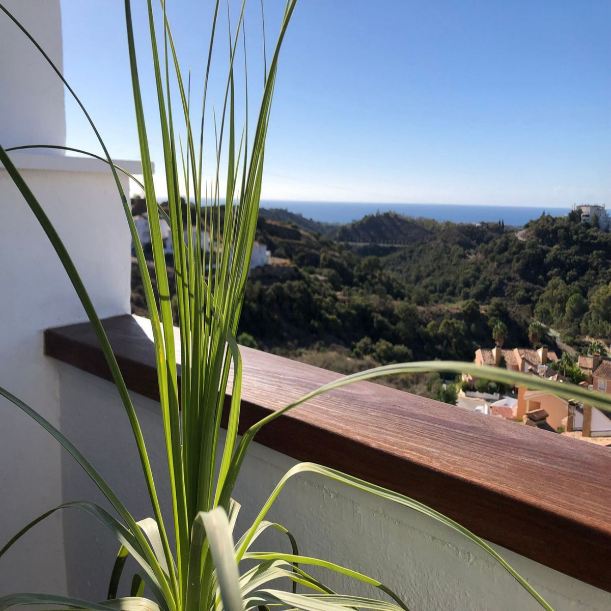 flat for sale estepona